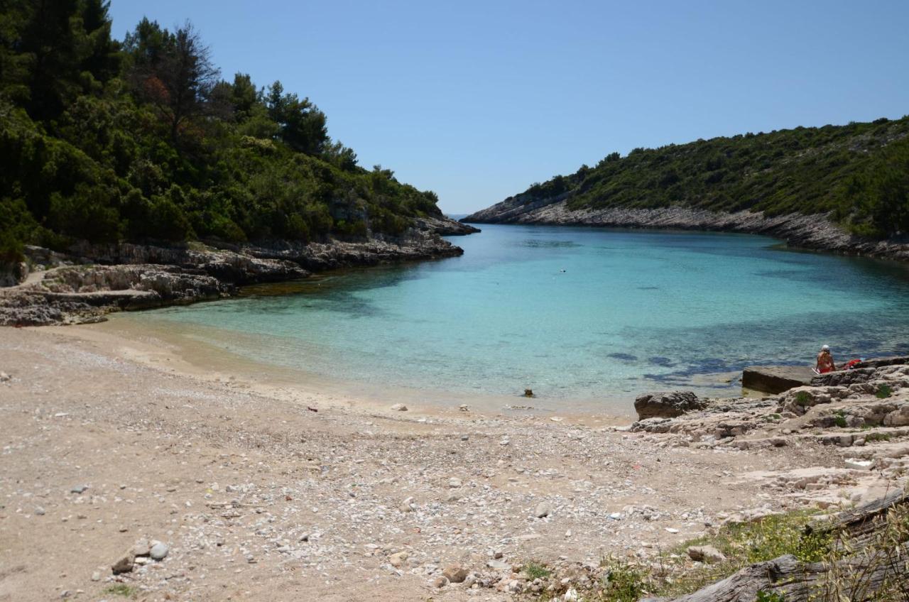 Jasenka Apartment Zavalatica Εξωτερικό φωτογραφία